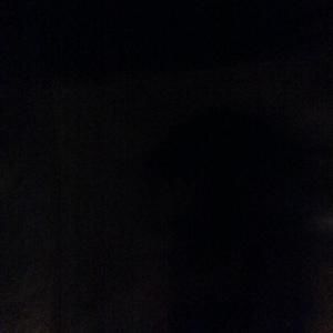 Meet your Posher, Kai